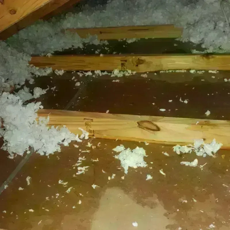 Attic Water Damage in Lenoir, NC